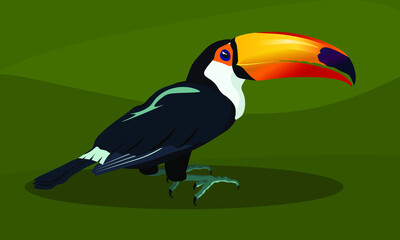 beautiful toucan bird with a bright beak on a green background. vector illustration