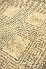 Mosaicos de la casa de los Juegos,felinos.Ciudad Romana de Volubilis(II d.c.), yacimiento arqueologico.Marruecos.