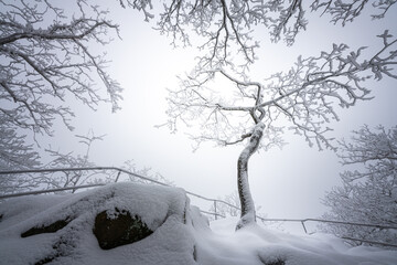 Winterlandschaft