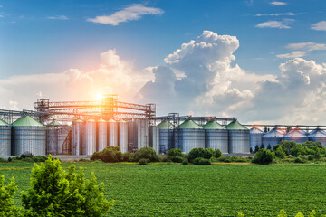 Agricultural Silos. Storage and drying of grains, wheat, corn, soy, sunflower against the blue sky with white clouds.Storage of the crop - obrazy, fototapety, plakaty