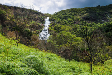 Fototapeta na wymiar Waterfall in tropical forest scenery, Aiuruoca/MG, Brazil