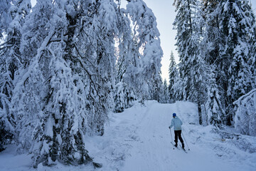 Cross country skiing in Norway is very popular. This is the tracks and slopes in Oslo, just a  short distance from downtown. The place is called Nordmarka or Oslomarka. 