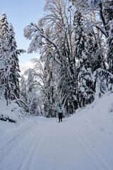 Cross country skiing in Norway is very popular. This is the tracks and slopes in Oslo, just a  short distance from downtown. The place is called Nordmarka or Oslomarka. 