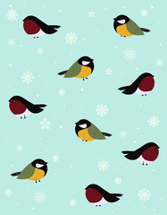 Delicate illustration of winter birds sitting on snowy branches.
Background from snow, snowfall, snowflakes.