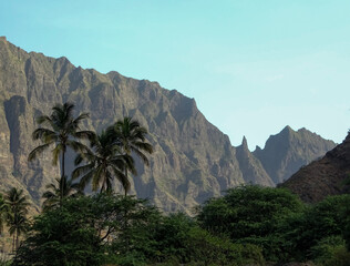 Fototapeta na wymiar Palm trees at Cape Verde islands, Santo Antao, during walking tour, mountains in background.