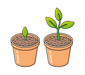 Flowerpot with sprout and green plant isolated. Gardening, seedling growth.