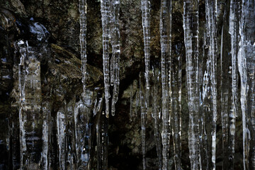 Fototapeta premium Close up of icicles on a cliff with stone in the background