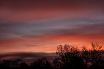 Beautiful winter morning sunrise showing brilliant pinks, oranges and blues along the tree line