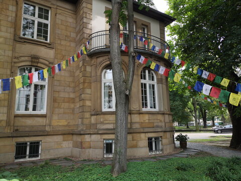 Alter Baum mit Gebetsfahnen vor dem neuen Tibethaus in einer Villa im Westend von Frankfurt am Main in Hessen