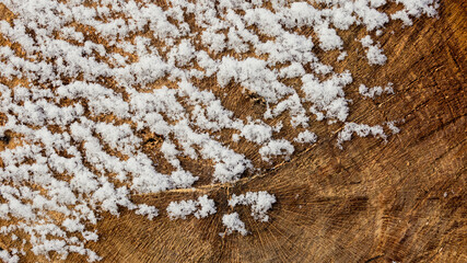 Rustic old wood texture with snow, christmas and winter background