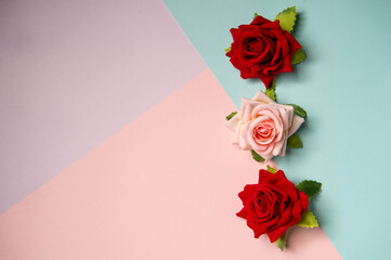 Pink and red roses on a delicate background. Festive postcard. Tenderness. Holiday. Free place. Beautiful roses.