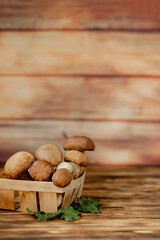 Basket of edible mushrooms: bolete and boletus, rustic wooden background, selective focus, toned image