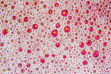 multicolored foam bubbles on the surface of the liquid.