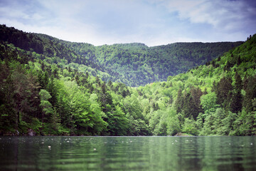 Naklejka na ściany i meble Alpine lake. The forest is reflected in the water. Spring landscape. Young foliage on the trees.