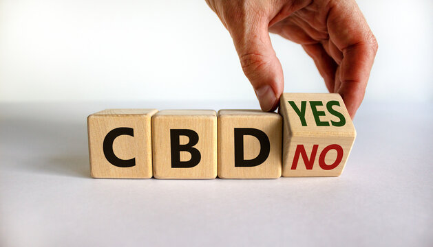Yes or no to CBD, cannabidiol symbol. Hand turns the cube and changes words 'CBD no' to 'CBD yes'. Beautiful white background, copy space. Medical and CBD cannabidiol yes or no concept.
