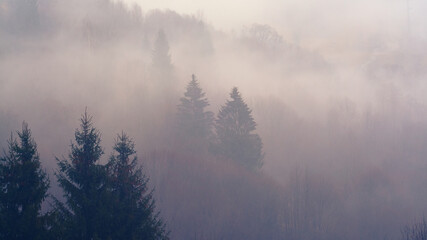 misty mountains landscape with trees 