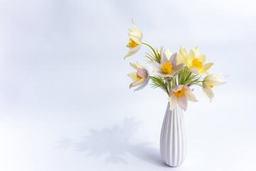 Fototapeta na wymiar Bouquet of spring flowers. Delicate snowdrops in a white vase on a white background. Symbol of spring awakening. copy space.