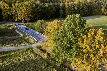 asphalt road in Gdynia Poland surrounded by colorful autumn trees seen from above. Daylight aerial...