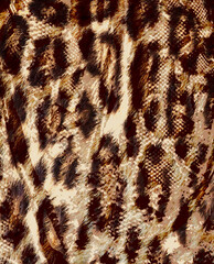 texture of print fabric striped leopard for background