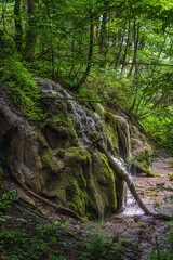 Fototapeta na wymiar Closeup on green mossy hill with waterfalls and cascades of water in lush wetland of Plitvice Lakes National Park, UNESCO World Heritage in Croatia