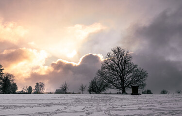 red sunset after snowy day and  lonely tree 