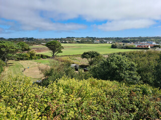 Fototapeta na wymiar Guernsey Channel Islands, Colin Best Nature Reserve