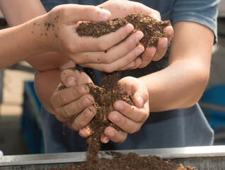 holding soil and humus in hand