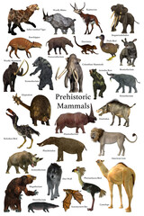 Obraz premium Prehistoric Mammals - A collection of some of the better known mammals that lived during the Cenozoic Era.