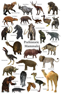 Prehistoric Mammals - A collection of some of the better known mammals that lived during the Cenozoic Era.