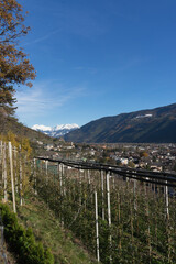 Fototapeta premium Picturesque mountain landscape in South Tyrol in autumn, view from a hiking trail nearby a vineyard to the valley of Naturns, in the background the snow-covered Alps, no people