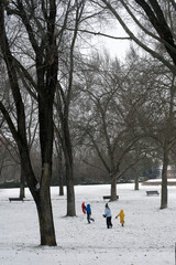 Fototapeta na wymiar Tres niños jugando en la nieve con un trineo. Dos niños y una niña vestidos con ropa de invierno de colores vivos corriendo entre los árboles de un parque