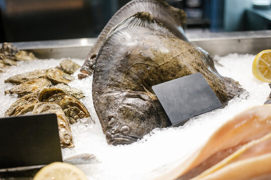flounder and oysters on the counter