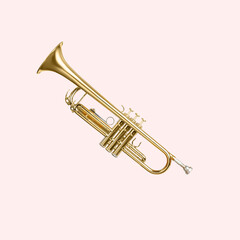Fototapeta na wymiar musical instrument trumpet on a pink background