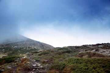 Fog on top of Mount Hoverla. Panorama.