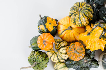 Isolated pumpkin squash 