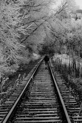 Fototapeta premium Woman Walking on Railroad Tracks in Fall
