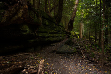 Worn Trail Passes By Mossy Cliff