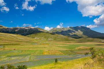Fototapeta na wymiar イタリア　カステルッチョ・ディ・ノルチャの広大な高原 