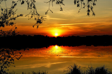 Fototapeta na wymiar a burning sunset, the calm surface of the lake water and the hanging branches of a tree in the frame, on a quiet spring evening