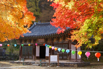 Brilliant autumn foliage and colorful paper lanterns frame a small shrine at Magoksa Buddhist temple, Gongju, South Korea.