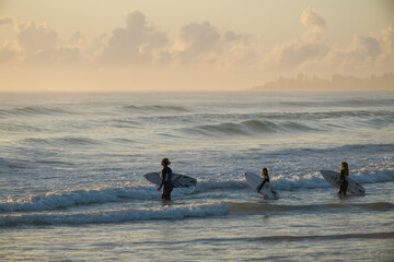 Early morning surfing, Currumbin Beach