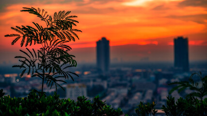 abstract background of the green leaves in the park,with the blur of bokeh,the light from the colorful shelter falling onto,a kind of artistic beauty of nature
