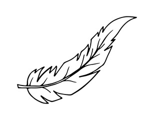 Bird feather. Drawn in doodle style in black outline on a white background. Vector illustration.