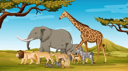 Gruppe wilder afrikanischer Tiere in der Waldszene © blueringmedia