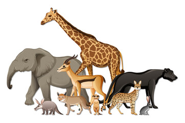 Group of wild African animals on white background