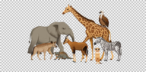Group of wild african animal on transparent background