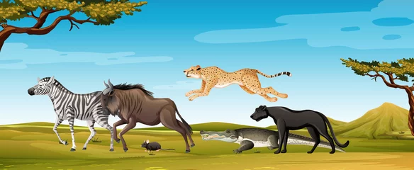 Gruppe wilder afrikanischer Tiere in der Waldszene © blueringmedia
