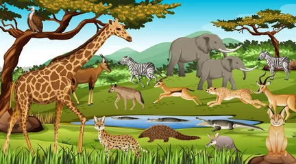 Gruppe wilder afrikanischer Tiere in der Waldszene © blueringmedia