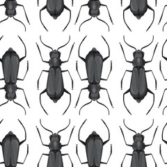 Beetle insect seamless background