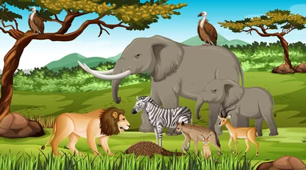 Gruppe wilder afrikanischer Tiere in der Waldszene © blueringmedia